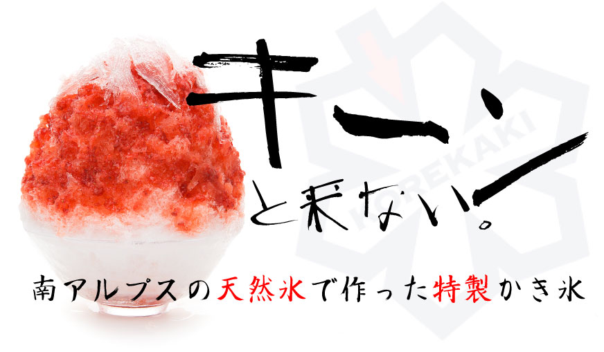 川越のカフェ かき氷専門店 川越 これがかき氷